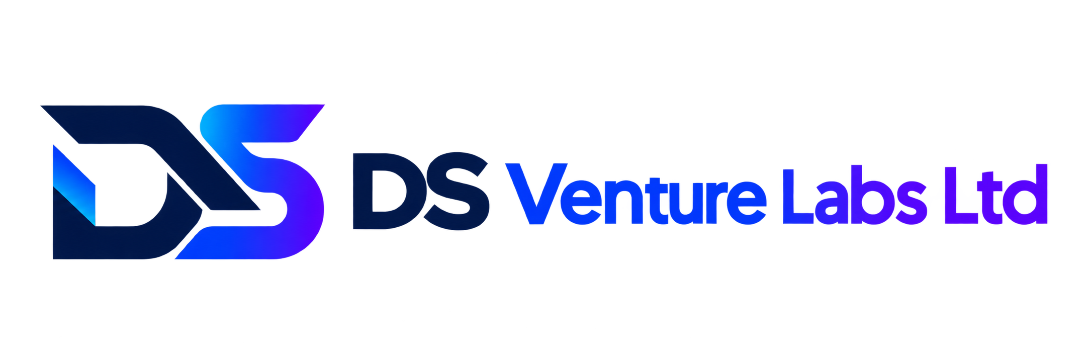 DS Venture Labs Ltd
